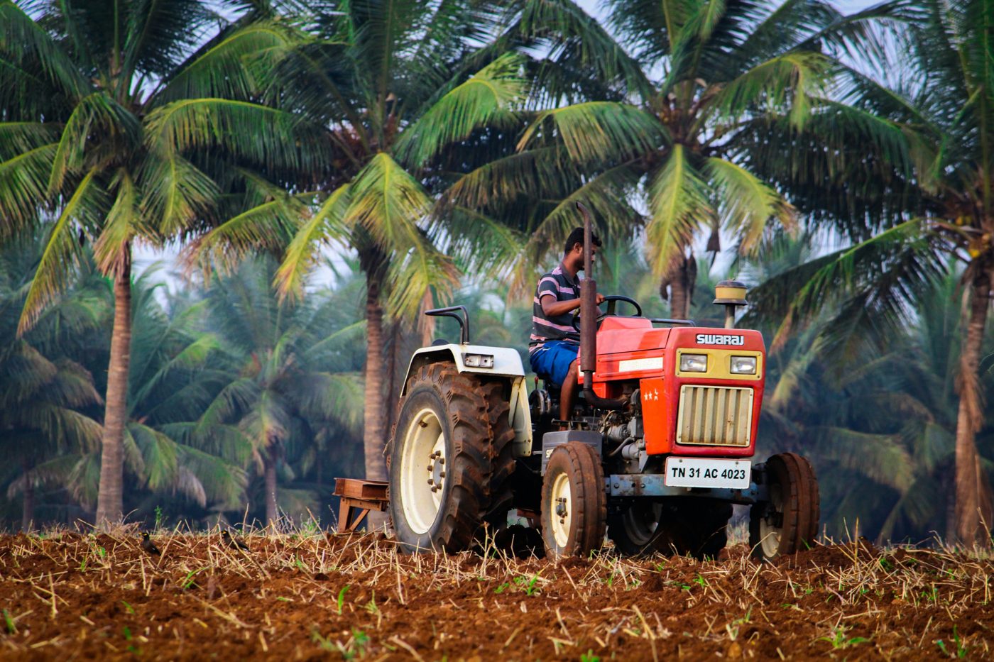Farmer ploughing field with a tractor